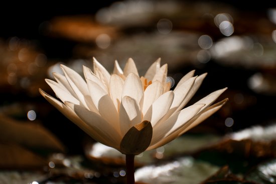 post-title
